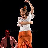 Flamenc'Ambos 20121114_082 CPR.jpg