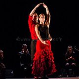 Flamenc'Ambos 20121114_142 CPR.jpg