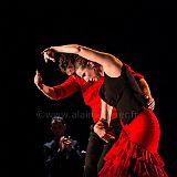 Flamenc'Ambos 20121114_144 CPR.jpg