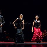 Flamenc'Ambos 20121114_199 CPR.jpg