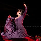 Los Ingredientes_del_Arte_Flamenco_20140809_018 CPR.jpg