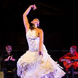 Los Ingredientes_del_Arte_Flamenco_20140809_042 CPR.jpg