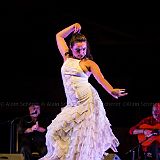 Los Ingredientes_del_Arte_Flamenco_20140809_043 CPR.jpg
