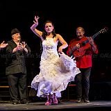 Los Ingredientes_del_Arte_Flamenco_20140809_058 CPR.jpg