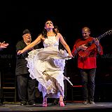 Los Ingredientes_del_Arte_Flamenco_20140809_059 CPR.jpg