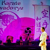 Karate Wado Ryu
