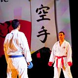 Doshow 20111007_Karate_001 CPR.jpg