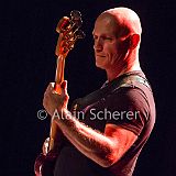 Stéphane Wrembel_Band_20170929_018 CPR.jpg