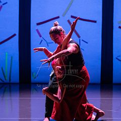 Bloom 20251106 004-2.jpg