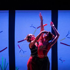 Bloom 20251106 005.jpg