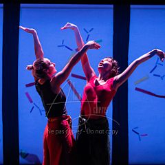 Bloom 20251106 006.jpg