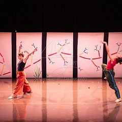 Bloom 20251106 007.jpg