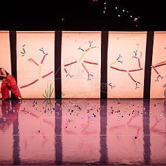 Bloom 20251106 008.jpg