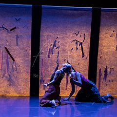 Bloom 20251106 035.jpg