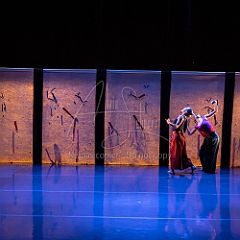 Bloom 20251106 036.jpg