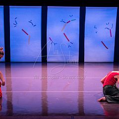 Bloom 20251106 055.jpg