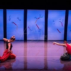 Bloom 20251106 058.jpg