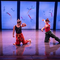 Bloom 20251106 060.jpg