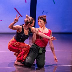 Bloom 20251106 070.jpg