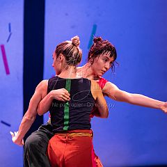 Bloom 20251106 080.jpg