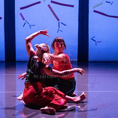 Bloom 20251106 098.jpg