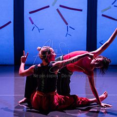 Bloom 20251106 099.jpg