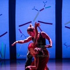 Bloom 20251106 104.jpg