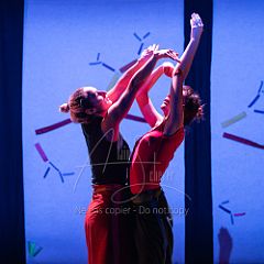 Bloom 20251106 107.jpg