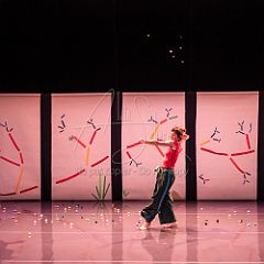 Bloom 20251106 118.jpg