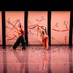 Bloom 20251106 135.jpg