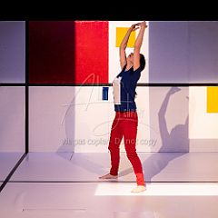 Feuilles 20220411 003.jpg