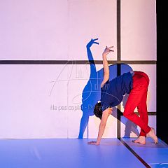 Feuilles 20220411 033.jpg