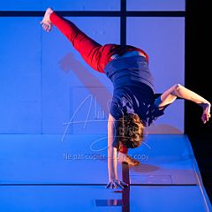 Feuilles 20220411 069.jpg