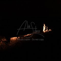 Quartz 20230824 142.jpg