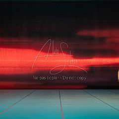 LesOiseaux 20250629 001.jpg