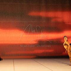 LesOiseaux 20250629 006.jpg