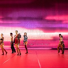 LesOiseaux 20250629 018.jpg