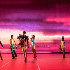 LesOiseaux 20250629 019.jpg