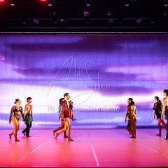 LesOiseaux 20250629 020.jpg