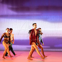 LesOiseaux 20250629 021.jpg