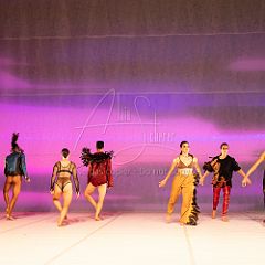 LesOiseaux 20250629 024.jpg