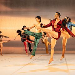 LesOiseaux 20250629 044.jpg