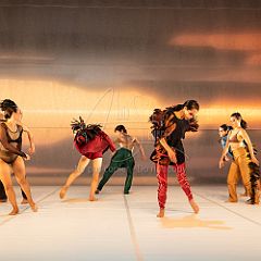 LesOiseaux 20250629 047.jpg