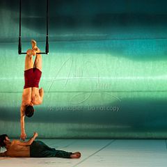 LesOiseaux 20250629 067.jpg