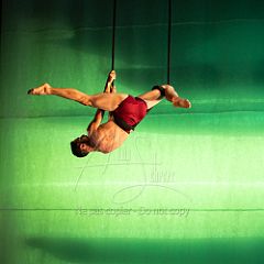 LesOiseaux 20250629 070.jpg