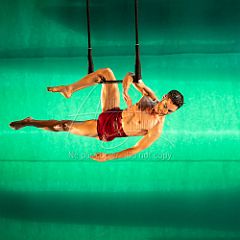 LesOiseaux 20250629 071.jpg