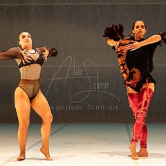 LesOiseaux 20250629 075.jpg