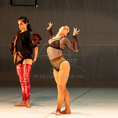 LesOiseaux 20250629 078.jpg