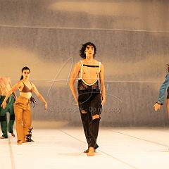 LesOiseaux 20250629 084.jpg