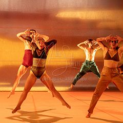 LesOiseaux 20250629 090.jpg